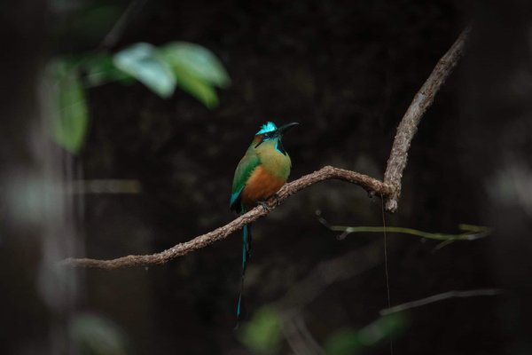 How to Retrofit a Wireless Charging Pad in a Mercedes-Benz C-Class?